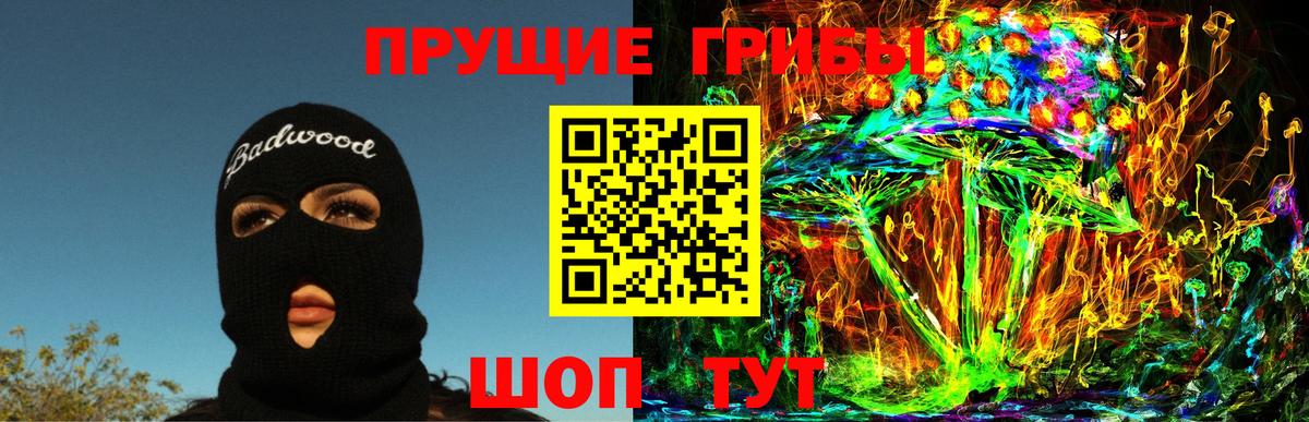 Богданович  Псилоцибиновые грибы мухоморы  Вход с VPN 