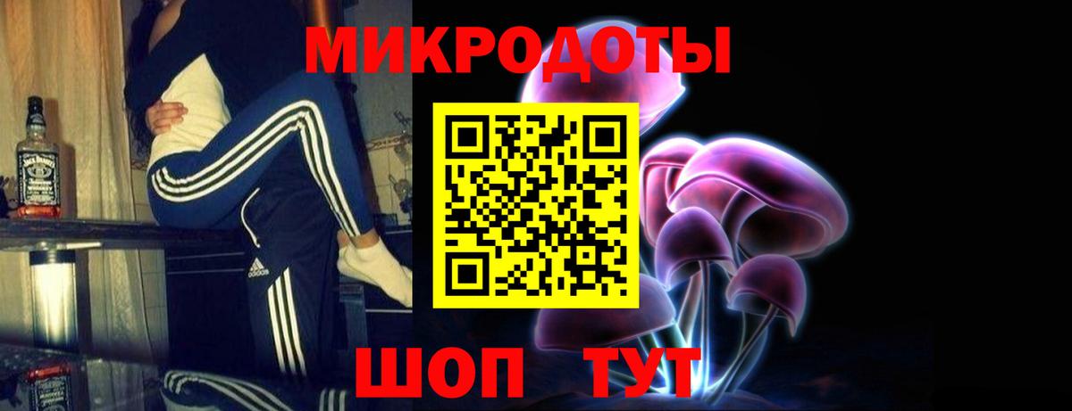 Галлюциногенные грибы Psilocybine cubensis Богданович